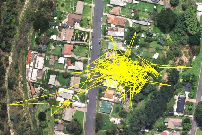 GPS-передатчик показал передвижения кошки в течение одного дня (3 фото)