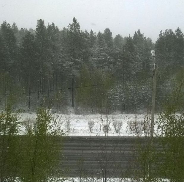 Снег в июне (18 фото)