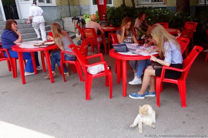 Бюджетный обед в ялтинском кафе (9 фото)