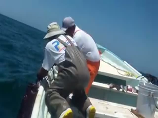 Рыбаки поймали огромную рыбу
