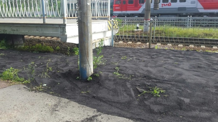 В Санкт-Петербурге асфальт уложили прямо поверх растущей травы (4 фото)