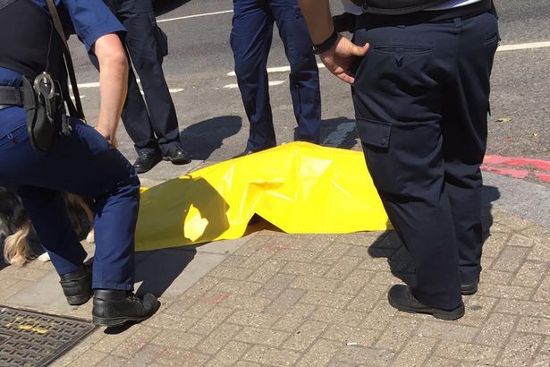 В Лондоне женщина тащила за собой мертвую собаку (9 фото)