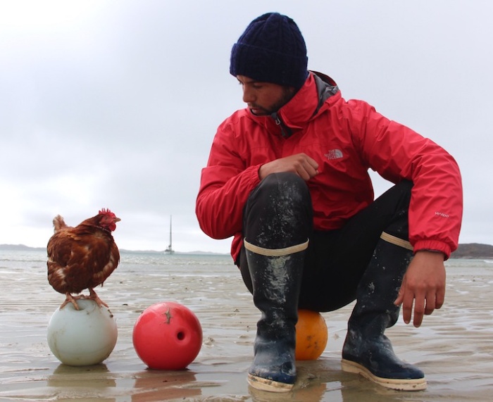24-летний француз путешествует на яхте в компании курицы (15 фото)