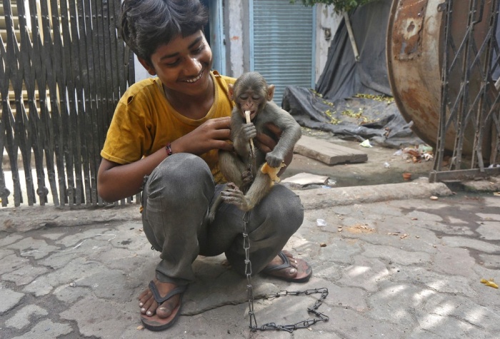 Повседневная жизнь в Индии (35 фото)