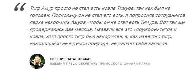 Бывший пресс-секретарь Приморского сафари-парка заявила, что дружба Амура и Тимура была фейком (3 фото)