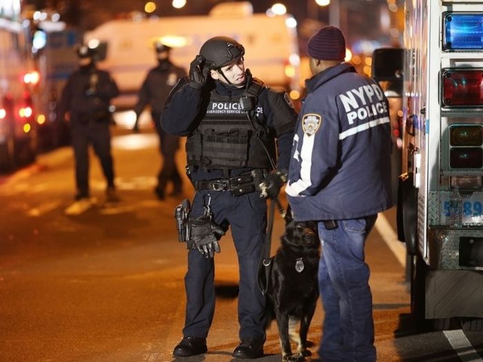 Работа в полиции Нью-Йорка (68 фото + 5 видео)