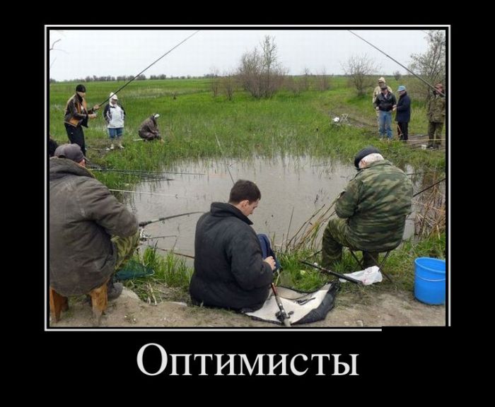 Демотиваторы (30 фото)