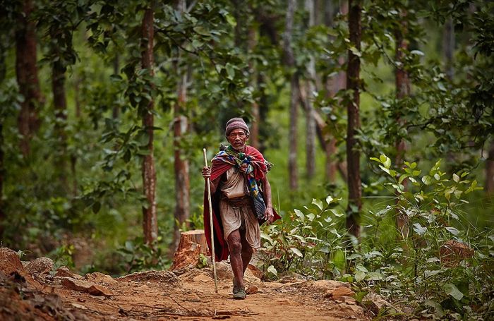Жизнь охотников-собирателей из племени Рауте (11 фото)