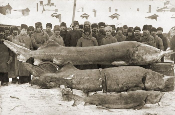 Старые фото русских рыбаков (15 фото)
