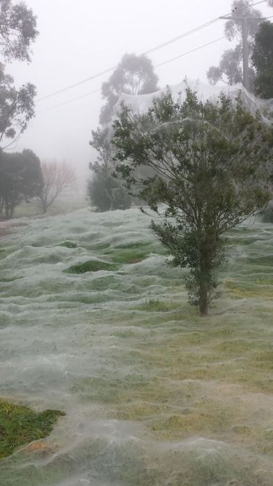 Зимние пейзажи Австралии (7 фото)
