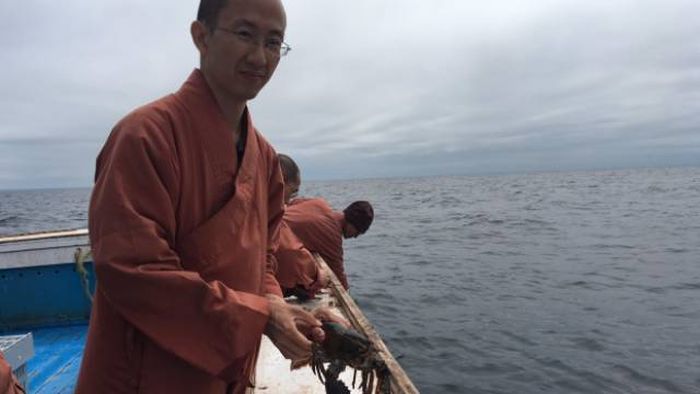 Буддийские монахи выпустили сотни омаров обратно в океан (11 фото)