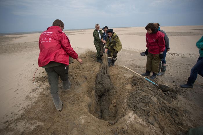 Как волонтеры спасают Байкал от мусора (21 фото)