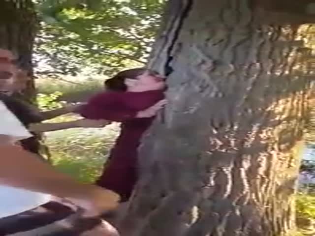 Женщина застряла в стволе дерева