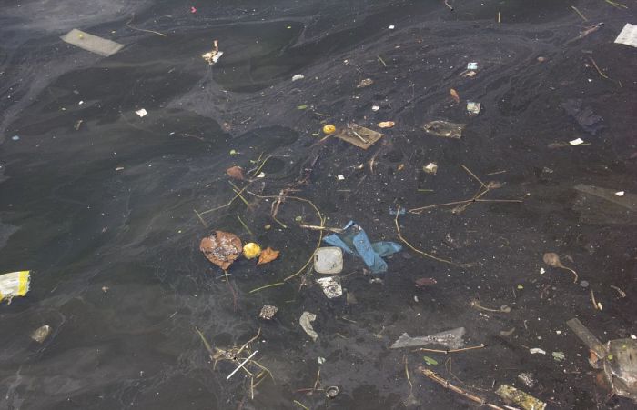 Загрязненная вода Рио-де-Жанейро (10 фото)