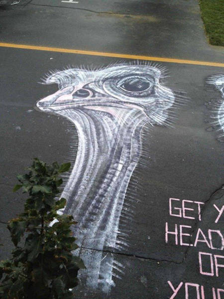 Великолепный стрит-арт на дорогах Монреаля от Питера Гибсона (34 фото)