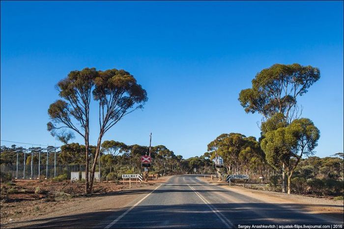 Идеальные австралийские дороги (21 фото)