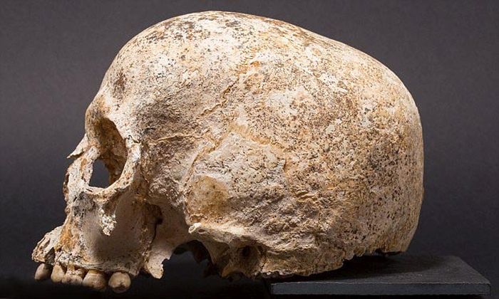 Ученные создали модель головы девушки, умершей 3700 лет назад (3 фото)
