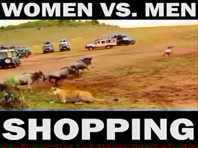 Вся разница между мужским и женским шоппингом