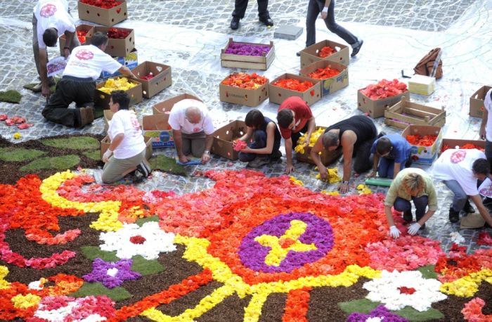 Цветочные ковры на центральной площади Брюсселя (9 фото)
