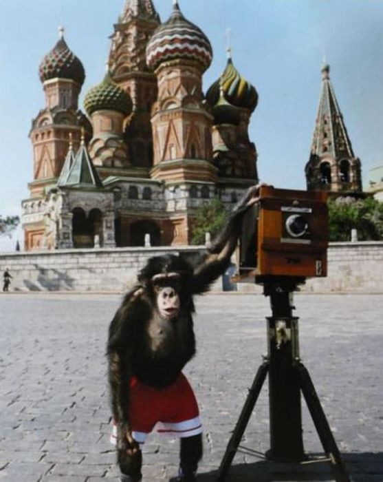 Самые дорогие работы советских и российских фотографов, проданных на лондонском аукционе (18 фото)