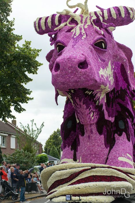 Парад цветов Corso Zundert в Нидерландах (15 фото)
