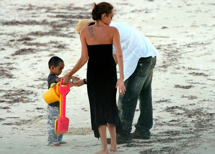 Анджелина Джоли подала на развод с Брэдом Питтом (29 фото)
