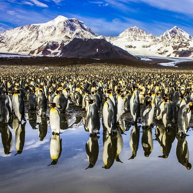 Фото журнала National Geographic в Instagram (52 фото)