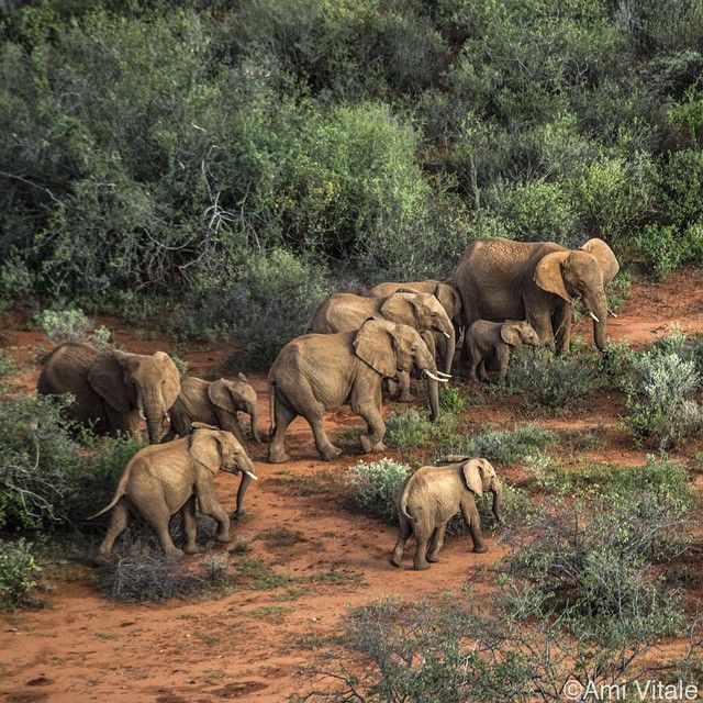 Фото журнала National Geographic в Instagram (52 фото)