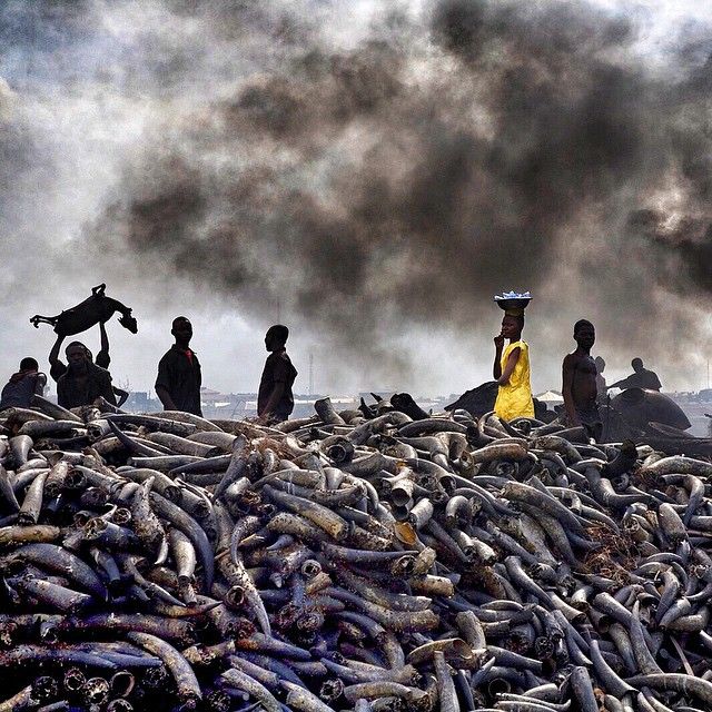 Фото журнала National Geographic в Instagram (52 фото)