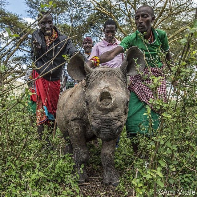 Фото журнала National Geographic в Instagram (52 фото)