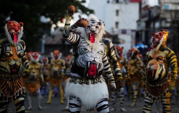 Тигриный фестиваль Пули Кали в Индии (12 фото)