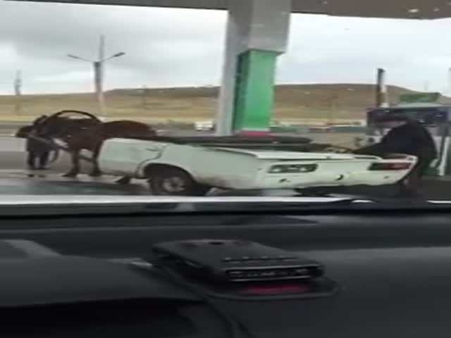 Мужчина заправляет бензином гужевую повозку