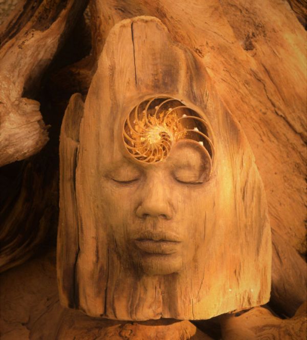 Волшебные скульптуры и статуэтки из дерева от Дебры Бернье (30 фото)