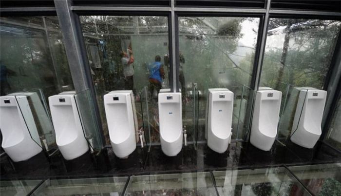 Стеклянный туалет в китайском парке (9 фото)