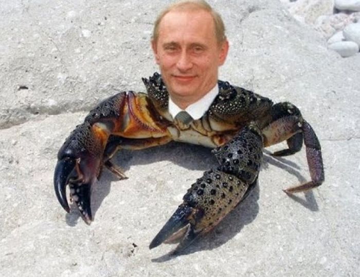 Малоизвестные факты из жизни Владимира Путина (49 фото)