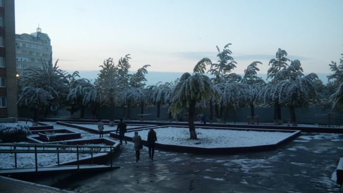 Первый снегопад в Омске «превратил» деревья в пальмы (5 фото)