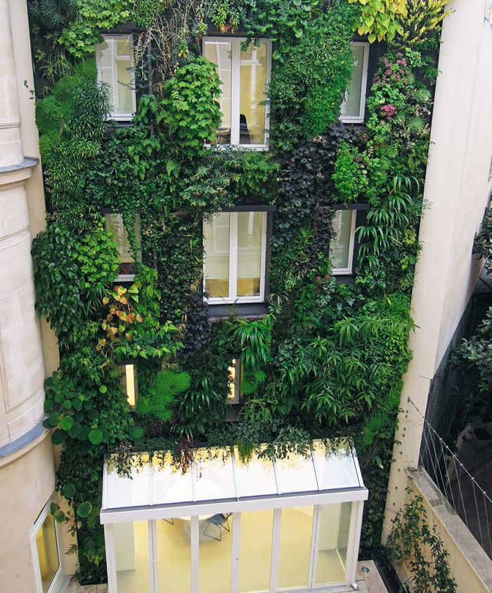 Власти Парижа поддержат развитие частных городских садов (6 фото)