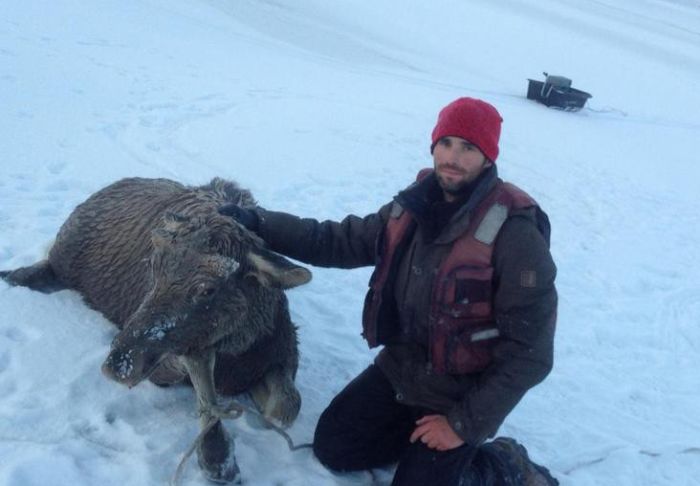 Алтайские рыбаки спасли провалившегося под лед лося (5 фото + видео)