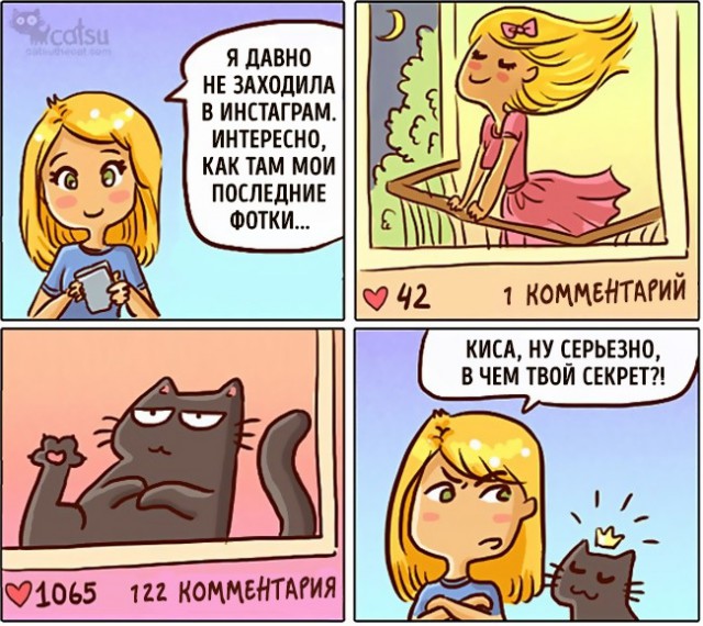 Как меняется жизнь с появлением в доме кота (20 картинок)