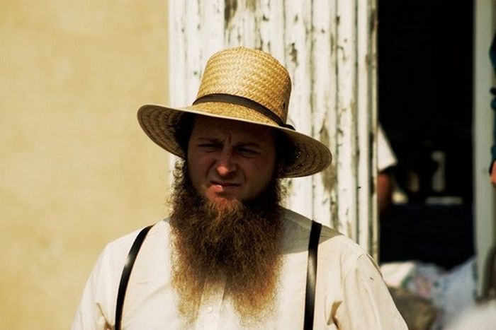 Интересные факты об амишах (16 фото)