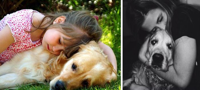 Собаки и хозяева спустя годы (35 фото)
