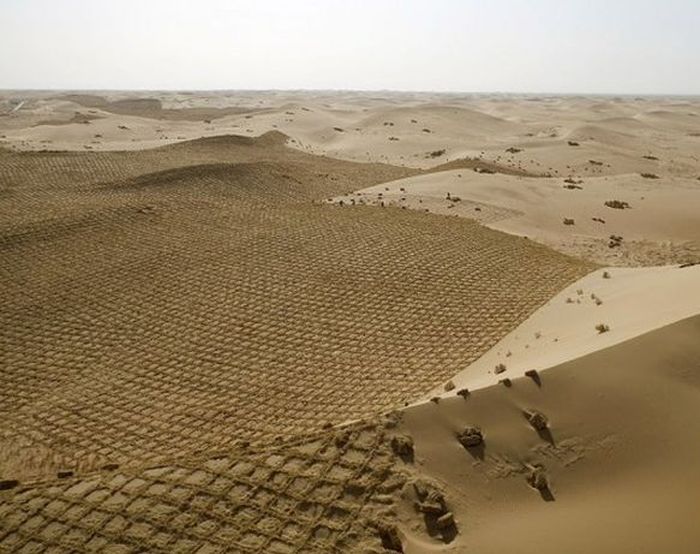 «Зеленый пояс» остановит расширение китайской пустыни Тэнгэр (4 фото)