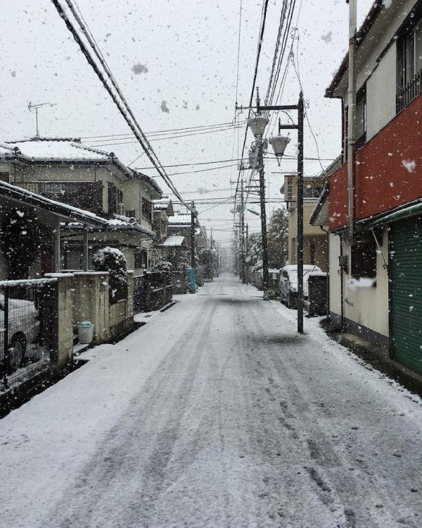 В Токио впервые за 54 года первый снег выпал в ноябре (11 фото)