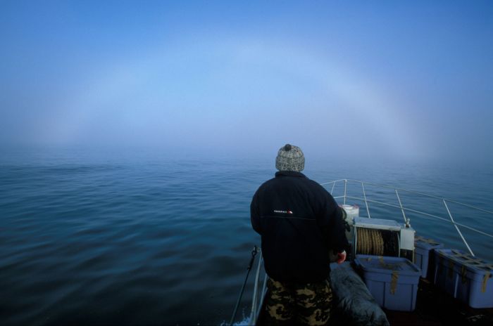 Бесцветная туманная радуга в Шотландии (6 фото)