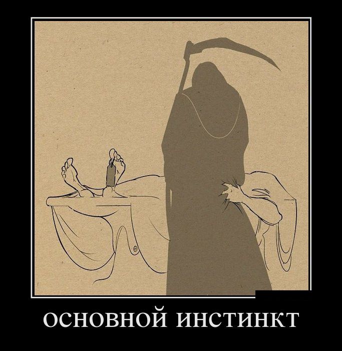 Демотиваторы (30 фото)