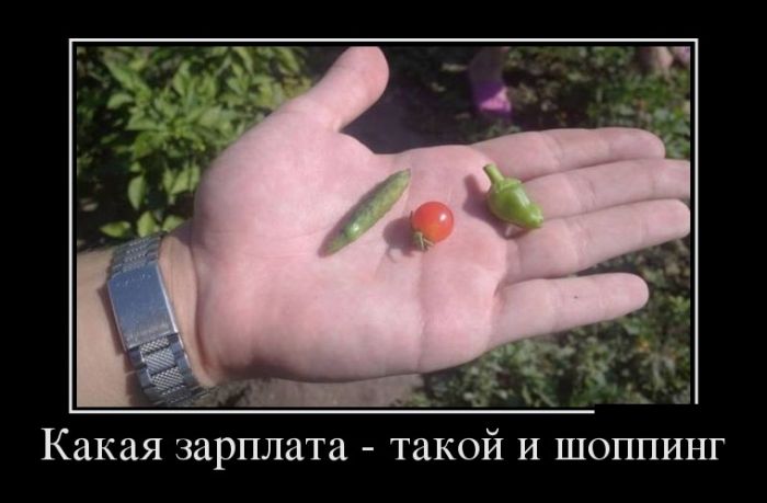 Демотиваторы (30 фото)