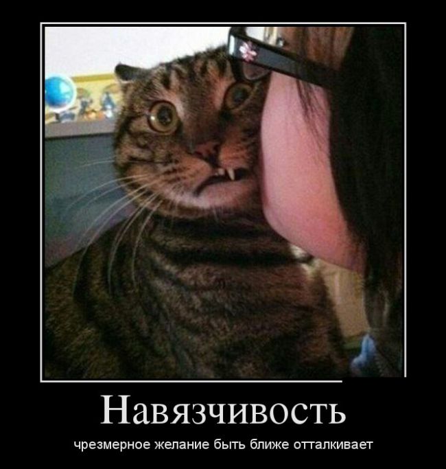 Демотиваторы (30 фото)