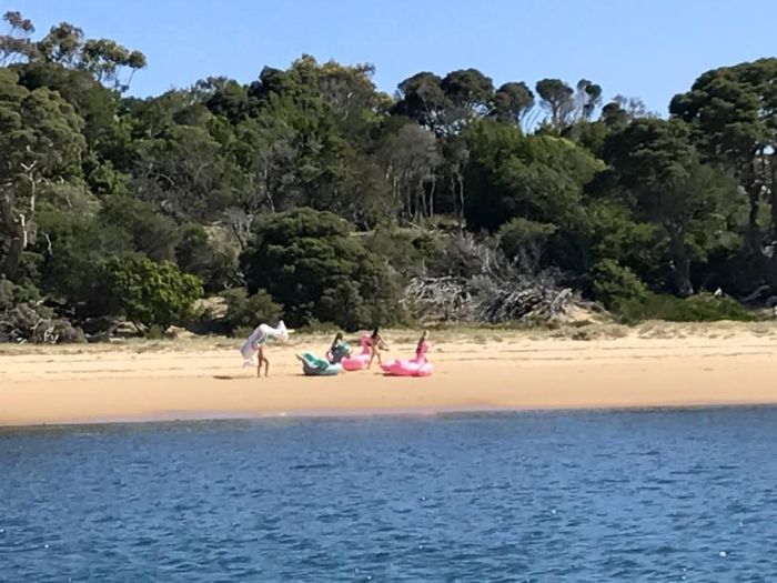 В Австралии 4 девушки случайно оказались в открытое море на надувных фламинго, единороге и динозавре (3 фото)