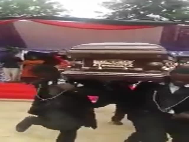 Необычные похороны на Гане