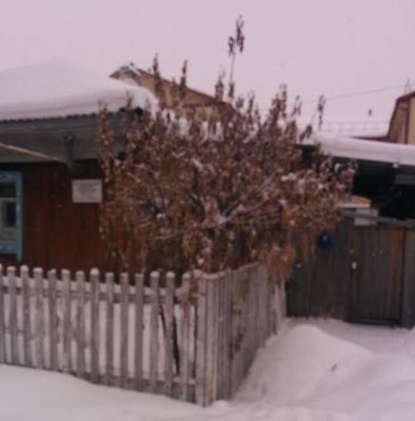 В Тюменской области чиновники спилили новогоднюю елку в палисаднике у старушки (2 фото)